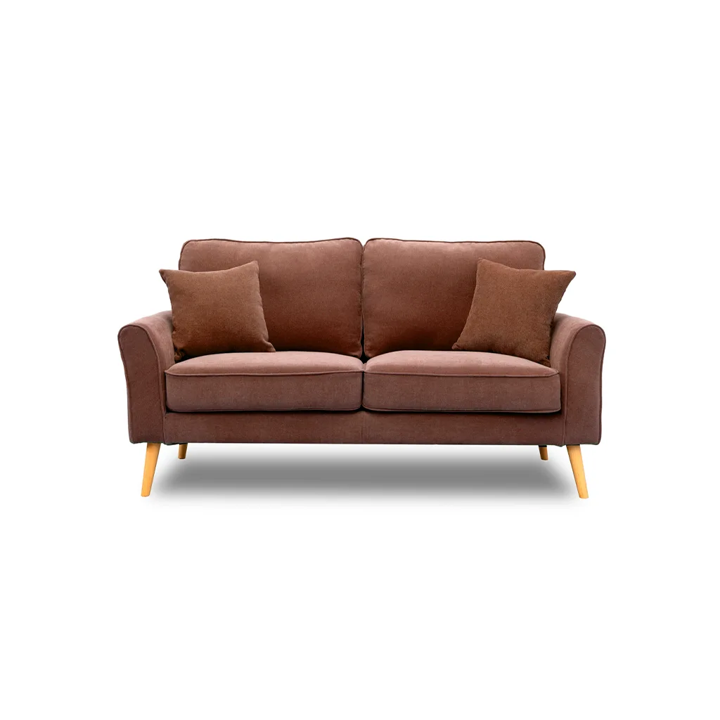 Double Sofa Cleaning