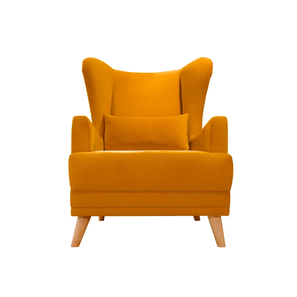 Armchair Cleaning